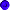 bullet.gif (902 bytes)